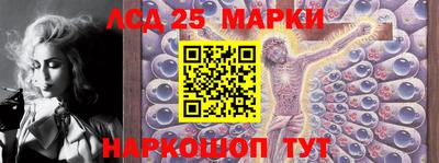 винт Тара